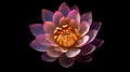 Indian lotus flower with the intricate pattern