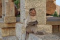 A indian macaque monkey among ancient ruins of Hampi. Funny macaque. The monkey meditates on a stone in Hampi, Karntaka State, Ind