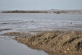 Indian maharshtra ocean with stone