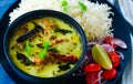 Indian Punjabi meal- kadi pakoda Royalty Free Stock Photo