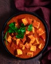 Indian meal-Punjabi Paneer butter masala Royalty Free Stock Photo