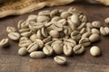 Indian Malabar green unroasted coffee beans Royalty Free Stock Photo