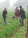 Indian male farmers changing crops