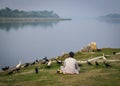 Indian man feeding birds on riverbank