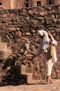 Indian man feeding gray langurs at Ranthambore Fort, India