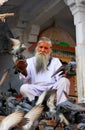 Indian man feeding pigeons near holy lake, Pushkar, India