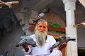 Indian man feeding pigeons near holy lake, Pushkar, India