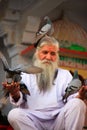 Indian man feeding pigeons near holy lake, Pushkar, India