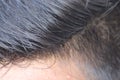 An indian man hair style in close up. Beautiful silky shine black hair, combed and cleanly manintained. Royalty Free Stock Photo