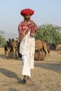Indian man and herd camels during Pushkar Camel Mela, Rajasthan, India Royalty Free Stock Photo