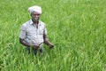 Indian Man Holding sickle and crops