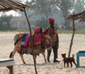 Indian man with holy indian cow decorated with colorful cloth and jewelry on the beach of Southern Goa