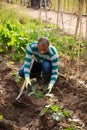 Indian man professional horticulturist with garden mattock