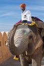 Indian man riding on elephant in Amber fort, Rajasthan state, India Royalty Free Stock Photo