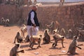 Indian man standing near gray langurs at Ranthambore Fort, India