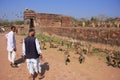 Indian man standing near gray langurs at Ranthambore Fort, India