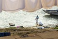 Indian man washing clothes in holy water of river Ganga in the morning. Varanasi. India Royalty Free Stock Photo