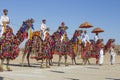 Indian man wearing traditional dress participate in mister desert contest of festival in Jaisalmer, Rajasthan, India Royalty Free Stock Photo