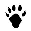 Indian Marten Footprint