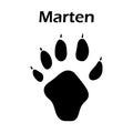 Indian Marten Footprint