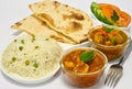 Indian Meal with Chicken curry Royalty Free Stock Photo