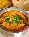 Indian Meal with Chicken korma Royalty Free Stock Photo