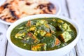 Indian meal-Palak paneer and tandoori roti Royalty Free Stock Photo