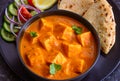 Indian meal-Punjabi Paneer butter masala and roti