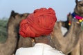 Indian men and herd camels during Pushkar Camel Mela, Rajasthan, India Royalty Free Stock Photo