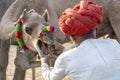 Indian men and herd camels during Pushkar Camel Mela, Rajasthan, India Royalty Free Stock Photo