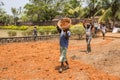 Indian men at work with seal to move the orange earth to cultivate food vegetables grass