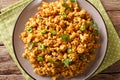 Indian minced chicken Bhuna Keema roasted with spices, tomatoes, chili peppers and onions close-up on a plate. Horizontal top view