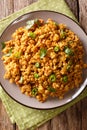 Indian minced chicken Bhuna Keema roasted with spices, tomatoes, chili peppers and onions close-up on a plate. Vertical top view