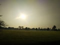 Indian morning sun and green graound and tree