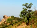 Indian mountain landscape Royalty Free Stock Photo