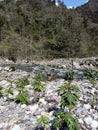 Indian mountain view beside river valley Ganga a religious view