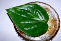 Betel fresh leaf in bowl