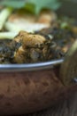 Indian murgh palak dish Royalty Free Stock Photo
