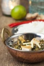 Indian murgh palak Royalty Free Stock Photo