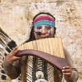 Indian Musician Profile