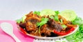Indian Mutton Korma (Mutton Curry, Meat Curry) Royalty Free Stock Photo