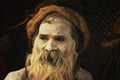 Indian Naga Monk Sadhu Aghori Royalty Free Stock Photo