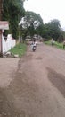 Indian narrow Street with big green trees