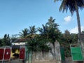 INDIAN NATIONAL HIGHWAY IMAGE WITH SAL TREES , COCONUT TREE ,BETELNUT PLANT TAMARIND TREE TRIBAL VILLAGE SCENE TRABAL MARKET/HOTO