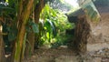 Indian netive village tin shed hut in woods