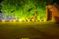 Indian Night creative photograph with in tree