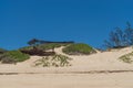 Indian Ocean Beach Mozambique Africa