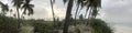 Indian Ocean coast. Coastal palms. Zanzibar island. Africa. Typical view