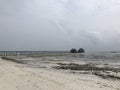 Indian Ocean coast. Wooden houses on stilts in the ebb and flow. Zanzibar island. Africa. Typical view Royalty Free Stock Photo