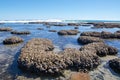 Indian Ocean: Tide Pools and Reef